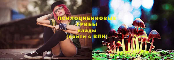 метадон Гусиноозёрск