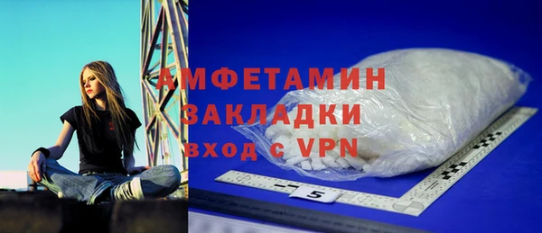 твердый Гусев