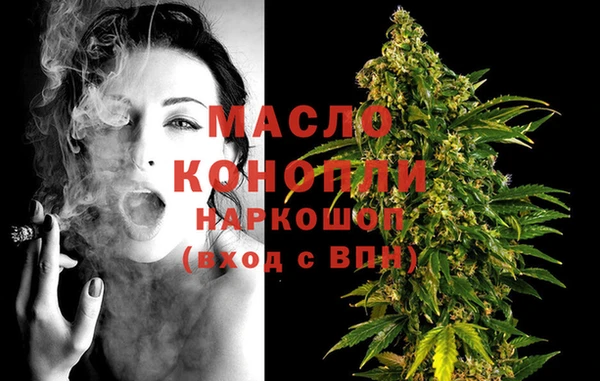 твердый Гусев