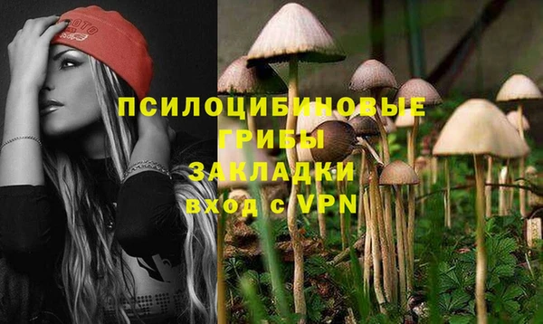 метадон Гусиноозёрск