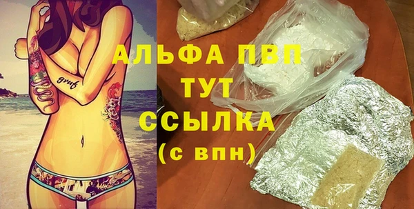 твердый Гусев