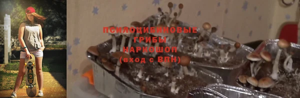 гидропоника Гусь-Хрустальный