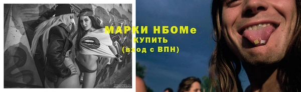 гидропоника Гусь-Хрустальный
