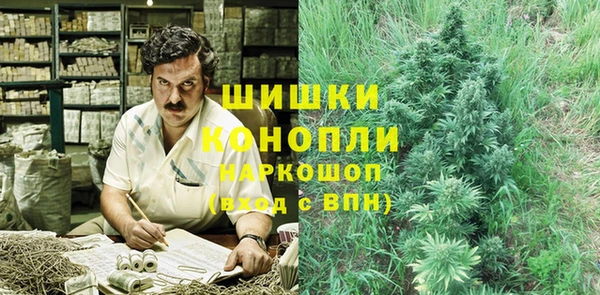 гидропоника Гусь-Хрустальный