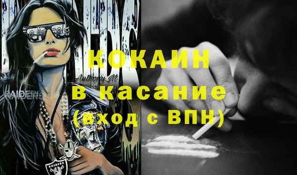 твердый Гусев