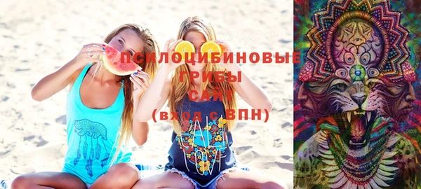 твердый Гусев