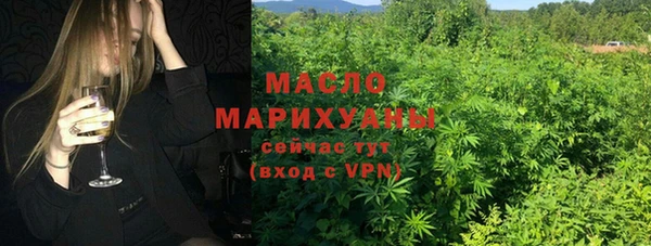 твердый Гусев
