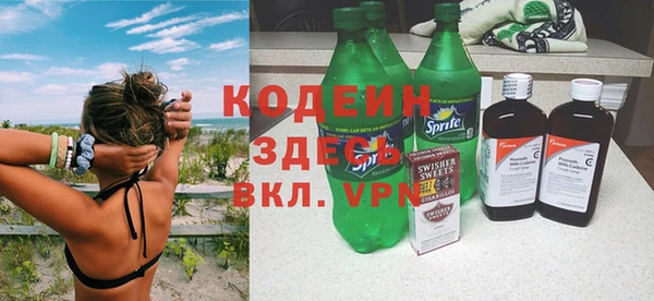 твердый Гусев