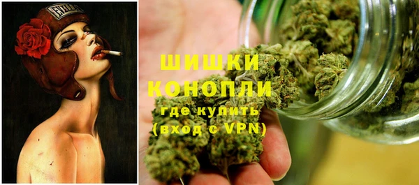 твердый Гусев
